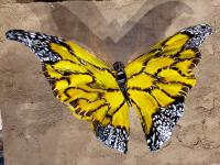 Yellow Monarch Standard (Wall Mount) by Nic McGuire