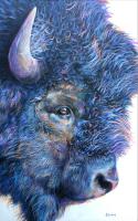 Bison in Color by Ali Armstrong