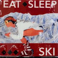 Eat Sleep & Ski Fast by Holly Manneck