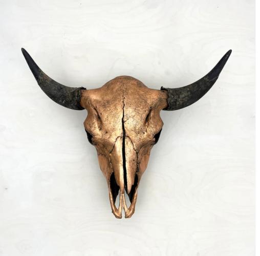 Bison Skull: Copper and Black by Owen Mortensen
