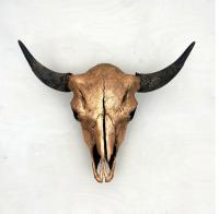 Bison Skull: Copper and Black by Owen%20Mortensen