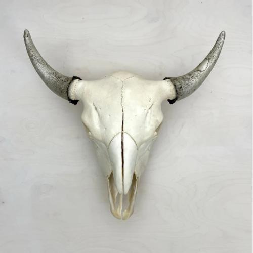 Bison Skull: Natural and Silver by Owen Mortensen