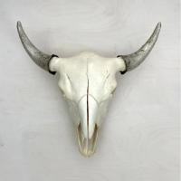 Bison Skull: Natural and Silver by Owen%20Mortensen