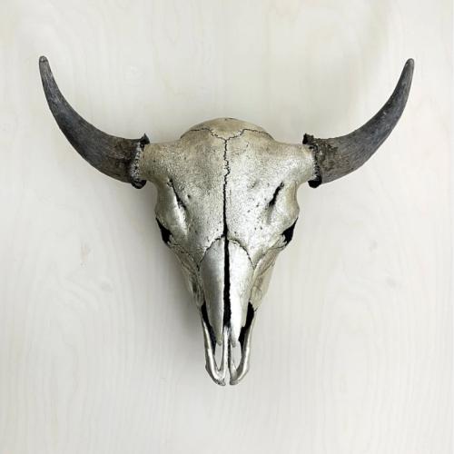 Bison Skull: Silver and Black by Owen Mortensen