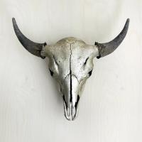 Bison Skull: Silver and Black by Owen%20Mortensen