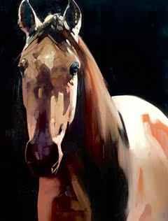 Portrait of a Horse by Peggy Judy