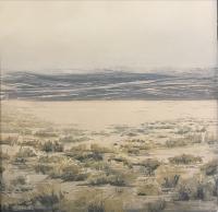 Elevation: Desert Snow by Cynthia McLoughlin