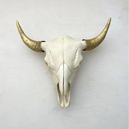 Bison Skull: Natural with Gold by Owen Mortensen