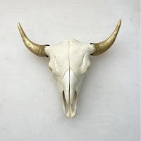 Bison Skull: Natural with Gold by Owen%20Mortensen