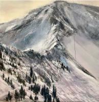 Elevation: Snowbird Melting by Cynthia McLoughin
