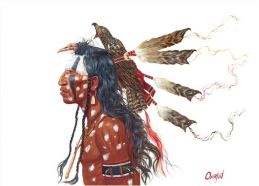 Brave Wolf and the Medicine Hawk Original by Greg Overton